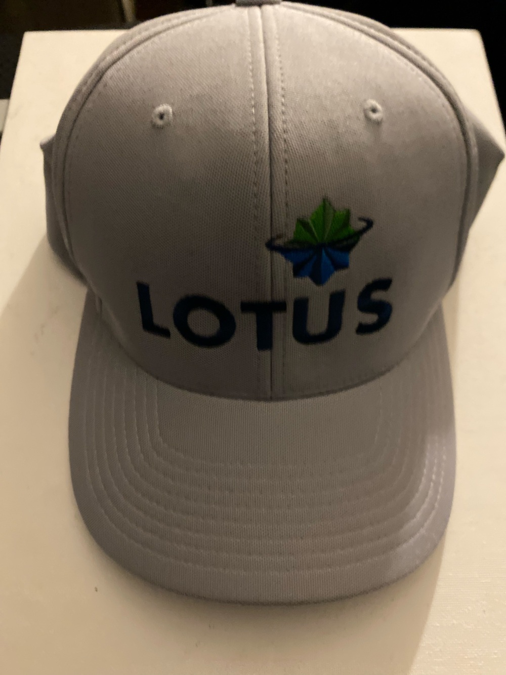 Source Unknown Lotus Logo Gray Cap with Blue and Green Accent